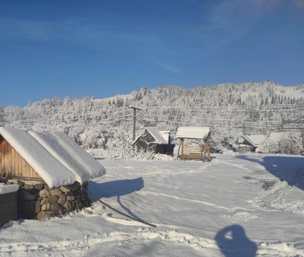 У Мирослави Pilipets Exterior foto
